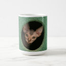 Search for funny sphynx mugs Cute