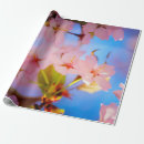 Search for sakura wrapping paper Flower