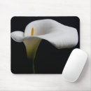 Search for calla lily electronics Nature
