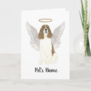 Search for springer spaniel cards White