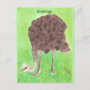 Search for grassy postcards Field