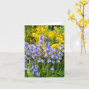 Search for photo easter cards Pretty