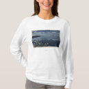 Search for high sierra tshirts Lantern