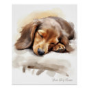 Search for sleeping dog posters Dogs