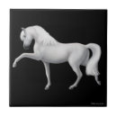 Search for andalusian horse Spanish