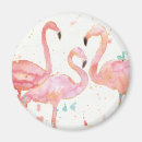 Search for gatherings magnets Animal