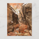 Search for slots postcards Nature