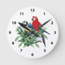 Search for bird scarlet macaw parrot art Macaws
