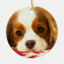 Search for cavalier king charles spaniel christmas tree decorations Animal