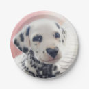 Search for dalmatian decor Avanti press