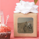 Search for curiosity stickers Mars