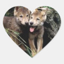 Search for wolf pup stickers Wolves