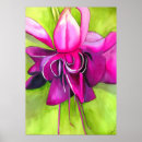 Search for fuchsia flower art Botanical