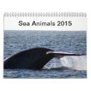 Search for dolphin office supplies Ocean