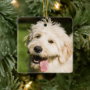 Search for mixed breed dog christmas tree decorations Cute