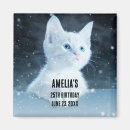 Search for kitten magnets Feline