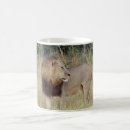 Search for safari images mugs Wildlife photography