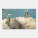 Search for wildlife photography stickers Nature