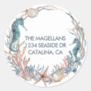 Search for sea shell envelope seals Under the sea