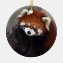 Search for panda christmas tree decorations Red