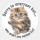 Search for funny kitty stickers Kitten