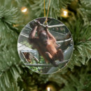 Search for orangutan christmas tree decorations Monkey