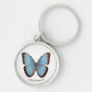 Search for blue morpho butterfly key rings Nature