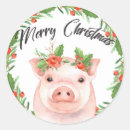 Search for best pig stickers Adorable