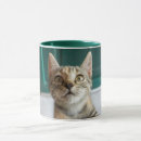 Search for domestic cats mugs Feline