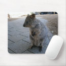 Search for grey fur mousepads Wildlife