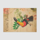 Search for paris tissue paper Bird