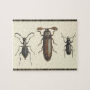 Search for insect gifts Science