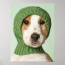 Search for cocker spaniel posters Pet