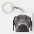 Search for black labrador key rings Pet