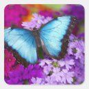 Search for blue morpho butterfly stickers Colourful
