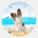 Search for papillon dog stickers Animal