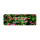 Search for zinnia return address labels Flower