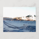 Search for santa barbara postcards Palm trees