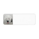 Search for sheepdog labels Pets