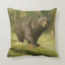 Search for black bear cushions Nature
