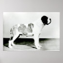Search for breeding art Photograph