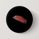 Search for ribs badges Grilling