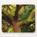 Search for ferns mousepads Trees