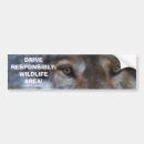 Search for lupus bumper stickers Grey wolves