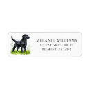 Search for black labs return address labels Puppy