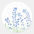 Search for bluebell flower stickers Bluebells
