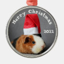 Search for piggy christmas tree decorations Pet