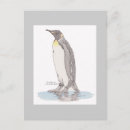 Search for penguin painting postcards Bird