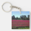 Search for crimson key rings Nature