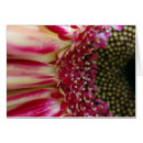 Search for peddling Floral